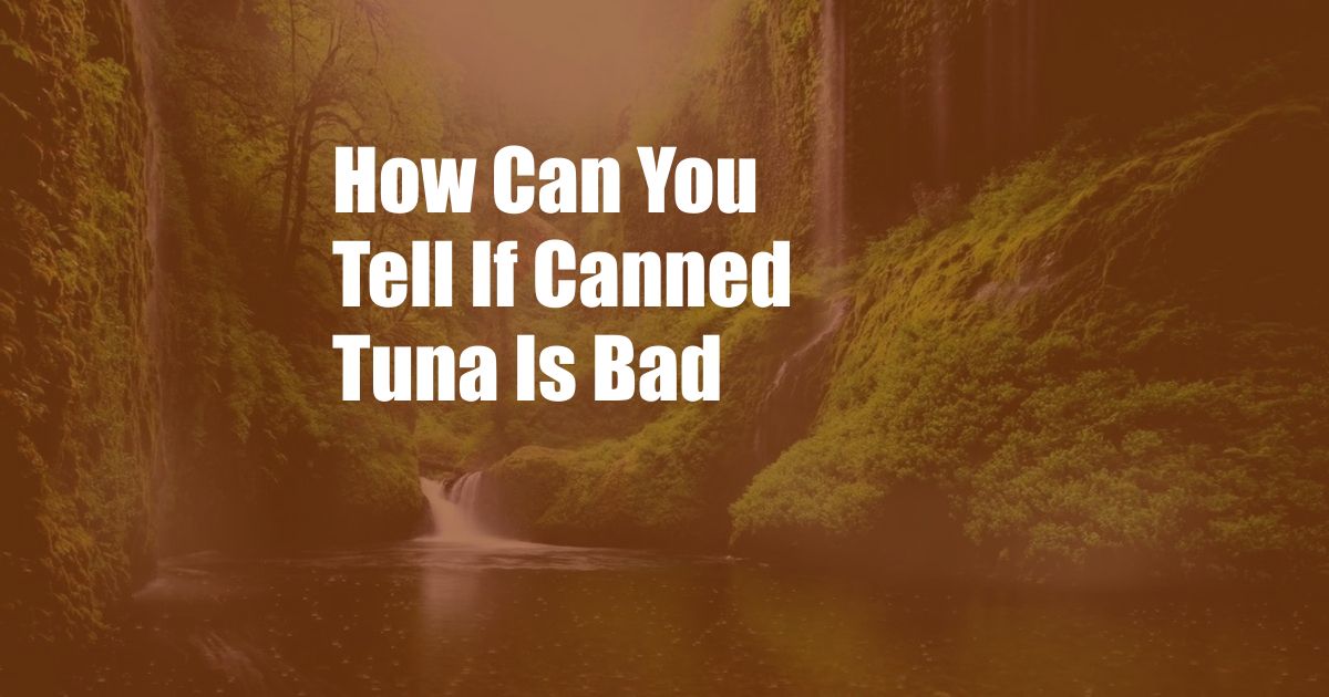 How Can You Tell If Canned Tuna Is Bad