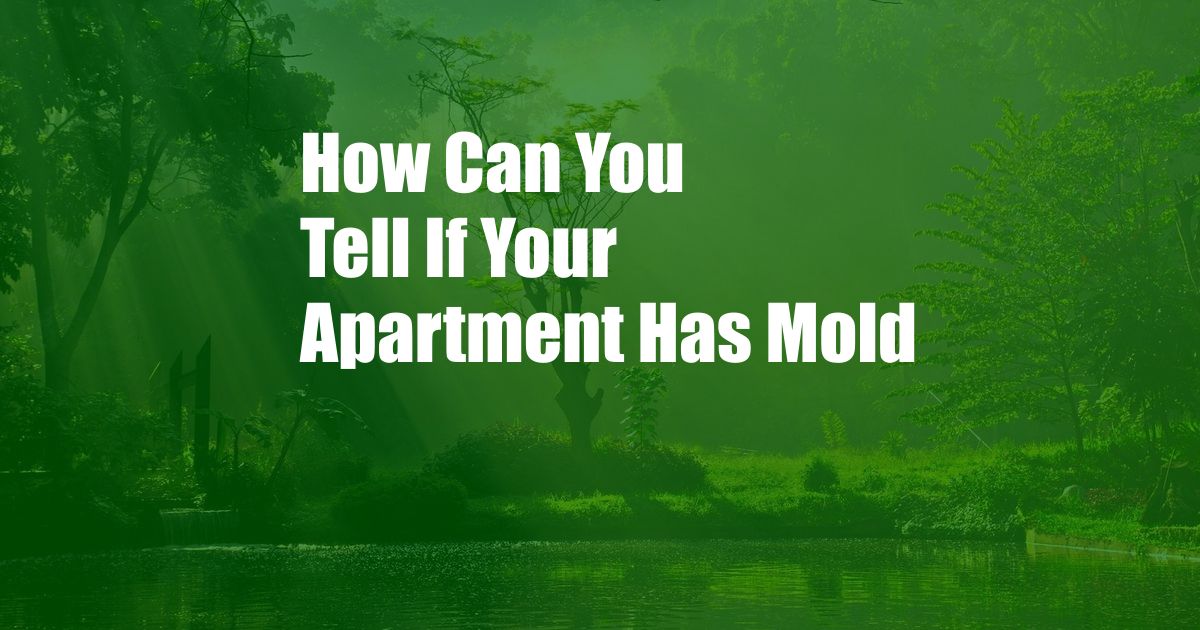 How Can You Tell If Your Apartment Has Mold