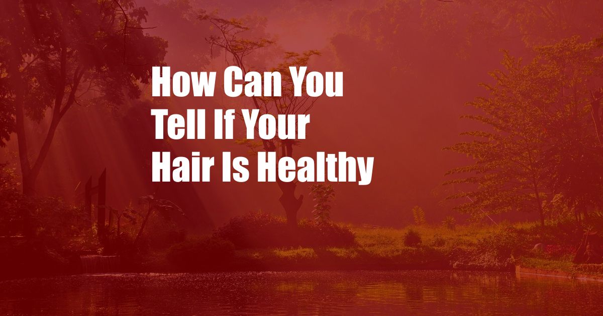How Can You Tell If Your Hair Is Healthy