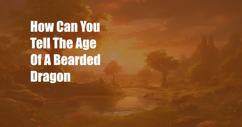 How Can You Tell The Age Of A Bearded Dragon