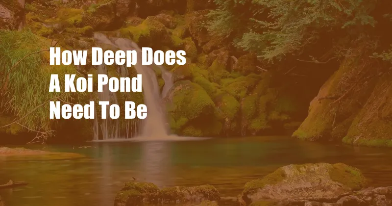 How Deep Does A Koi Pond Need To Be