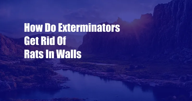How Do Exterminators Get Rid Of Rats In Walls