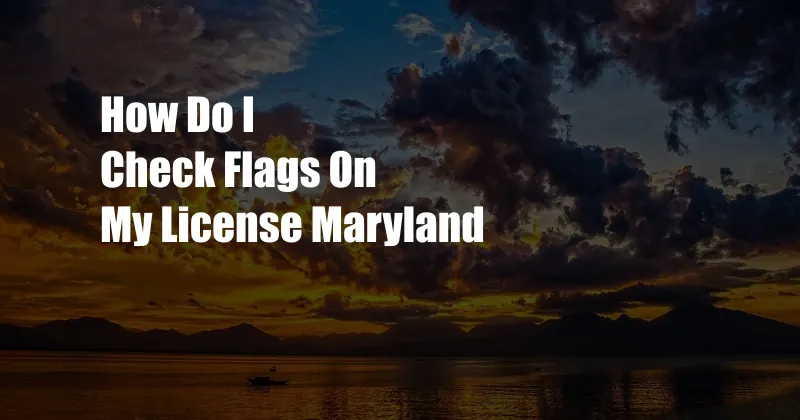 How Do I Check Flags On My License Maryland