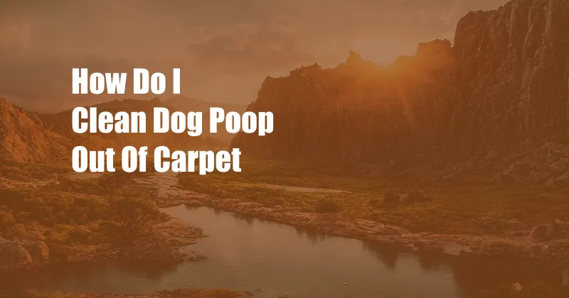 How Do I Clean Dog Poop Out Of Carpet