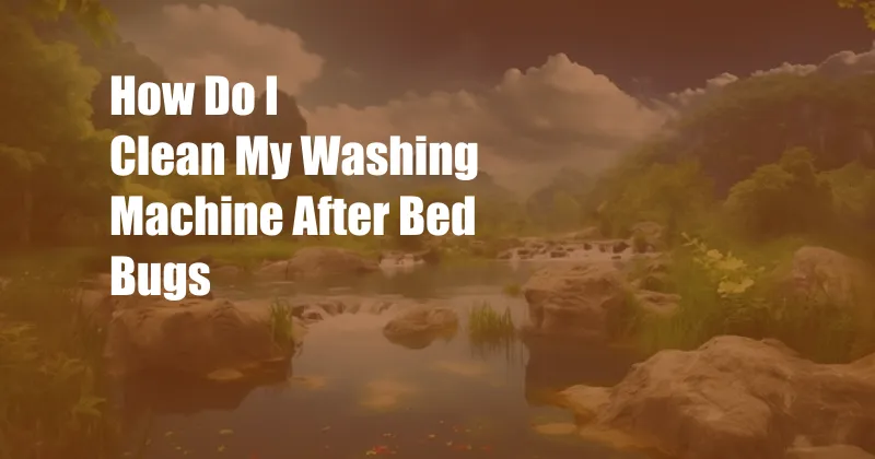 How Do I Clean My Washing Machine After Bed Bugs