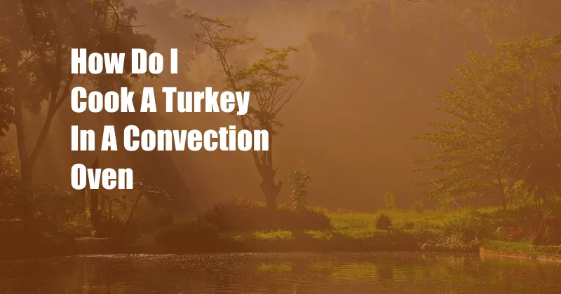 How Do I Cook A Turkey In A Convection Oven