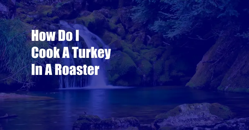 How Do I Cook A Turkey In A Roaster