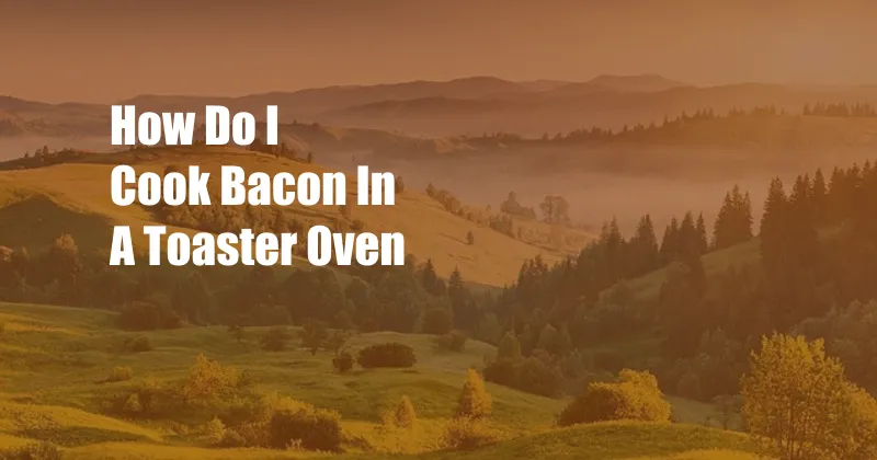 How Do I Cook Bacon In A Toaster Oven