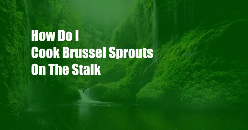 How Do I Cook Brussel Sprouts On The Stalk