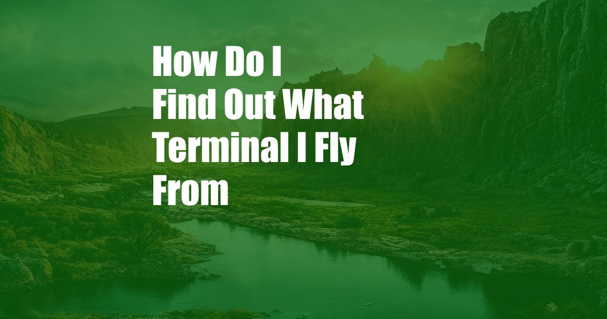 How Do I Find Out What Terminal I Fly From