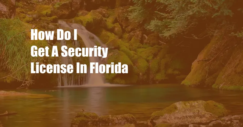 How Do I Get A Security License In Florida