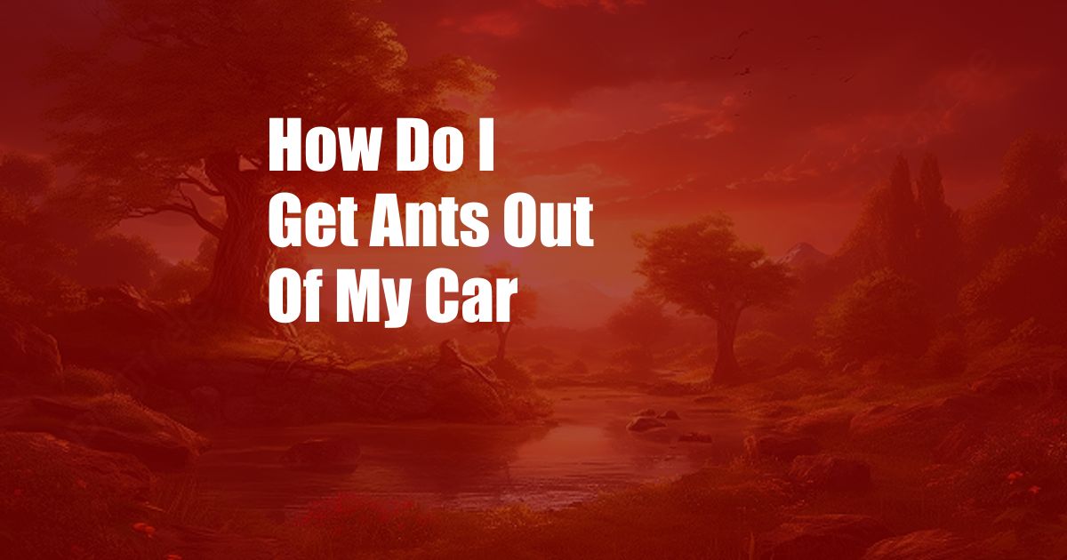How Do I Get Ants Out Of My Car