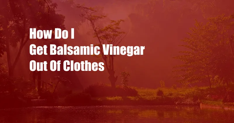 How Do I Get Balsamic Vinegar Out Of Clothes