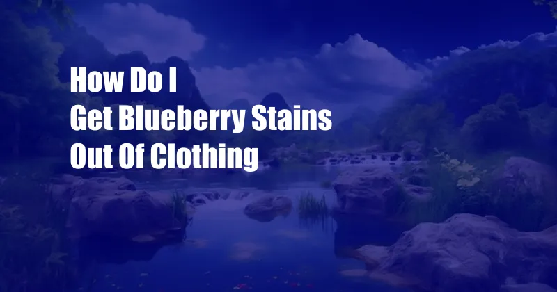 How Do I Get Blueberry Stains Out Of Clothing