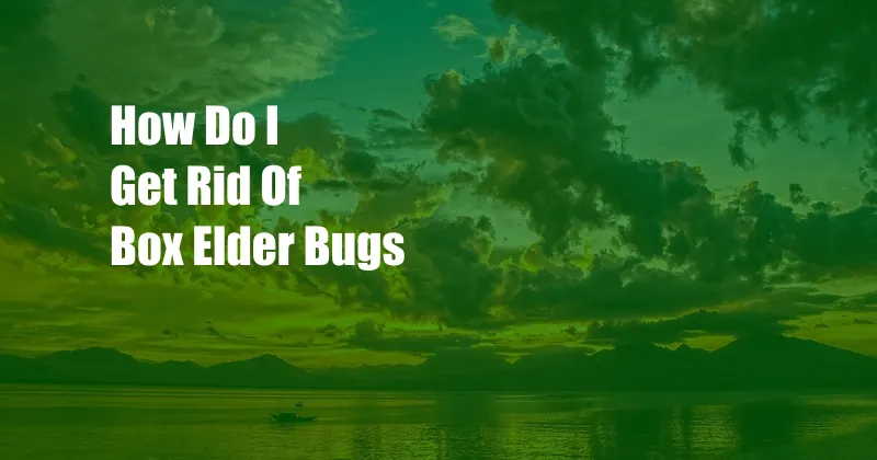 How Do I Get Rid Of Box Elder Bugs