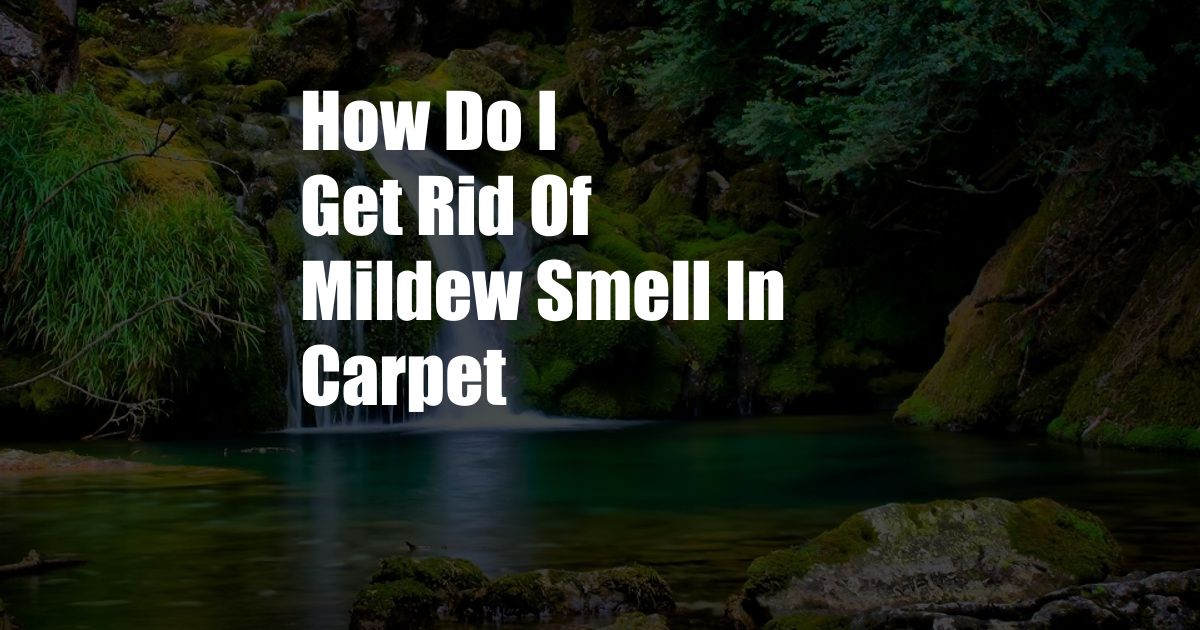 How Do I Get Rid Of Mildew Smell In Carpet