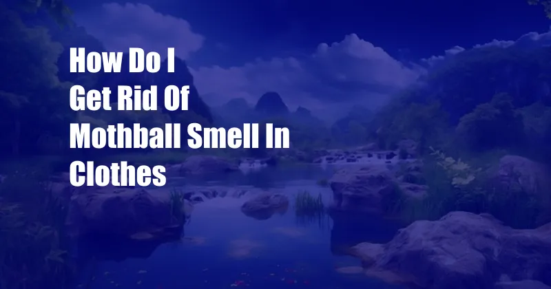 How Do I Get Rid Of Mothball Smell In Clothes