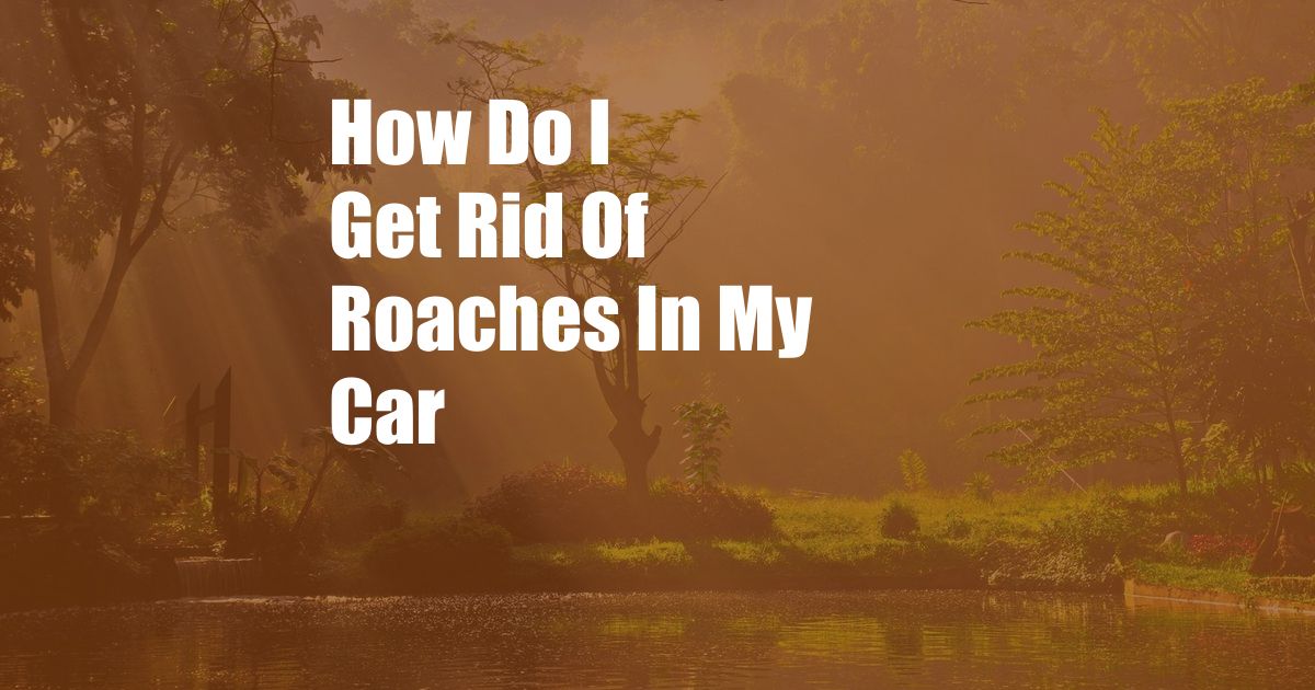 How Do I Get Rid Of Roaches In My Car