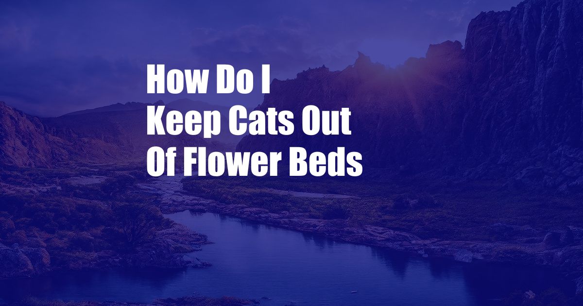 How Do I Keep Cats Out Of Flower Beds