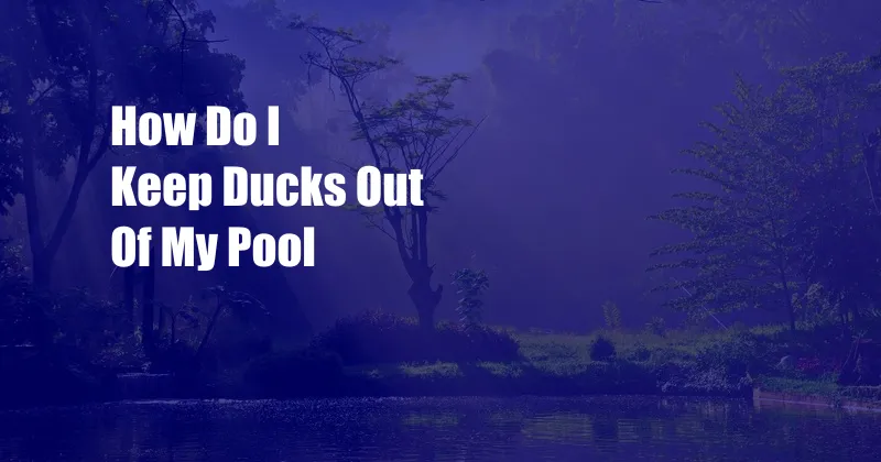 How Do I Keep Ducks Out Of My Pool