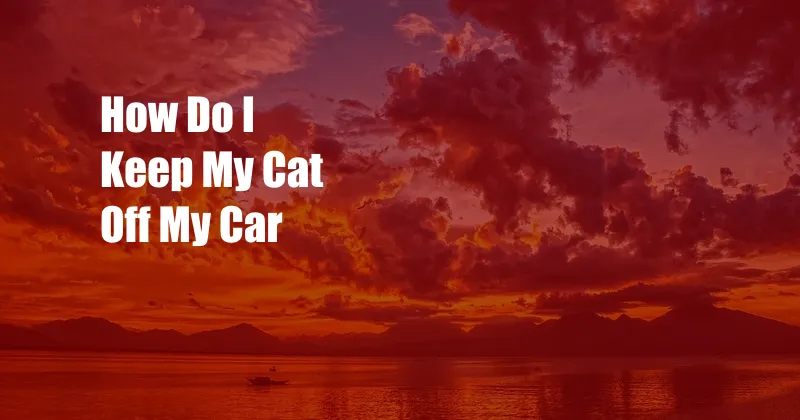 How Do I Keep My Cat Off My Car