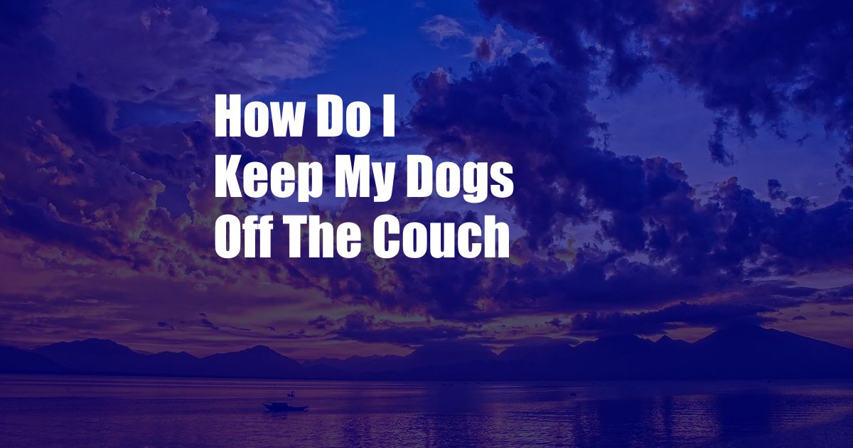 How Do I Keep My Dogs Off The Couch