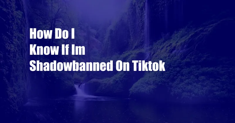 How Do I Know If Im Shadowbanned On Tiktok