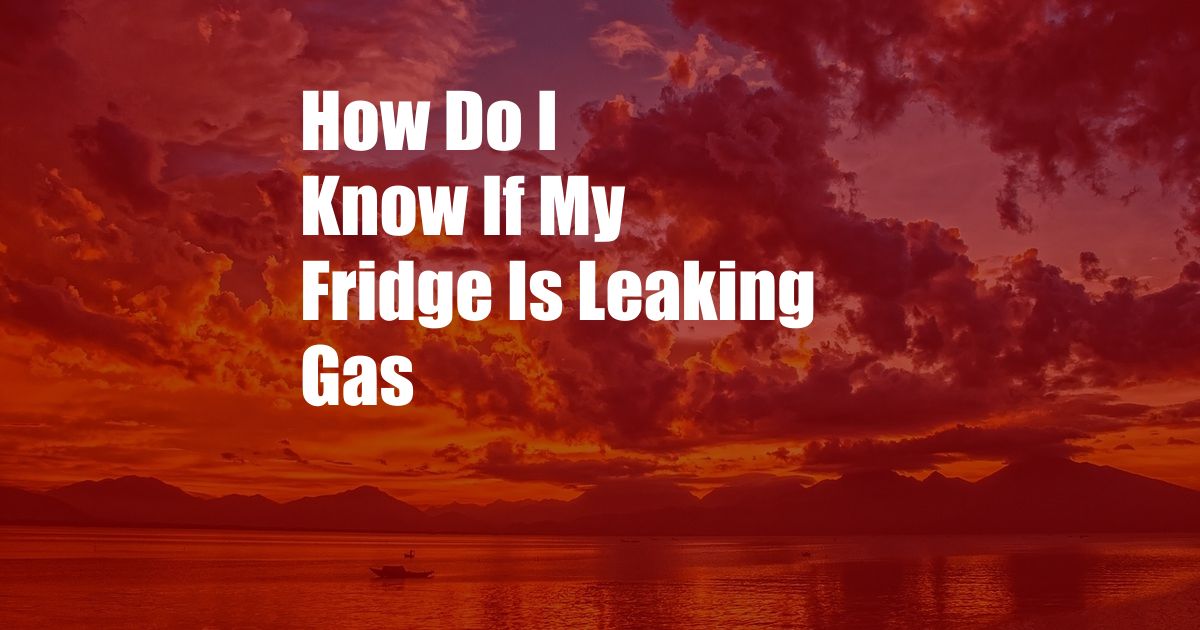 How Do I Know If My Fridge Is Leaking Gas