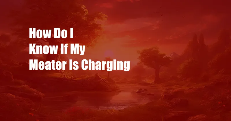 How Do I Know If My Meater Is Charging