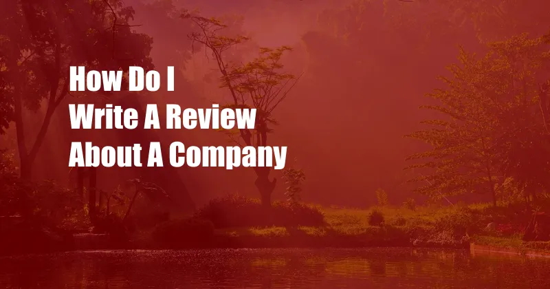 How Do I Write A Review About A Company