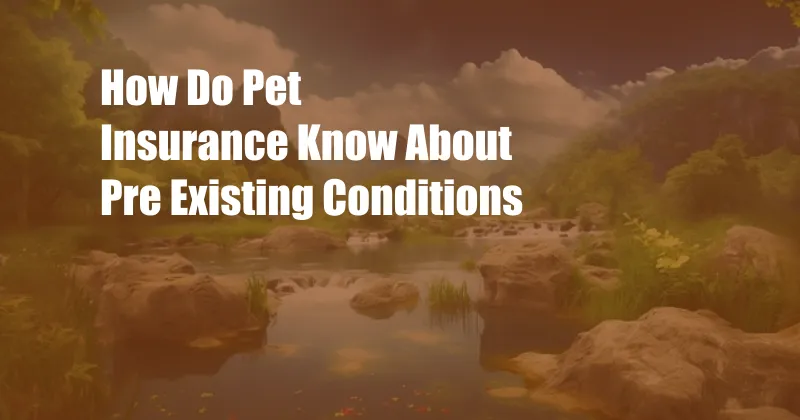 How Do Pet Insurance Know About Pre Existing Conditions 