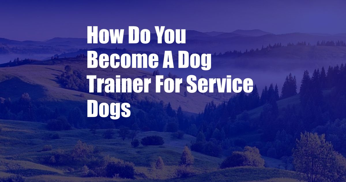 How Do You Become A Dog Trainer For Service Dogs