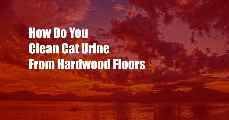 How Do You Clean Cat Urine From Hardwood Floors