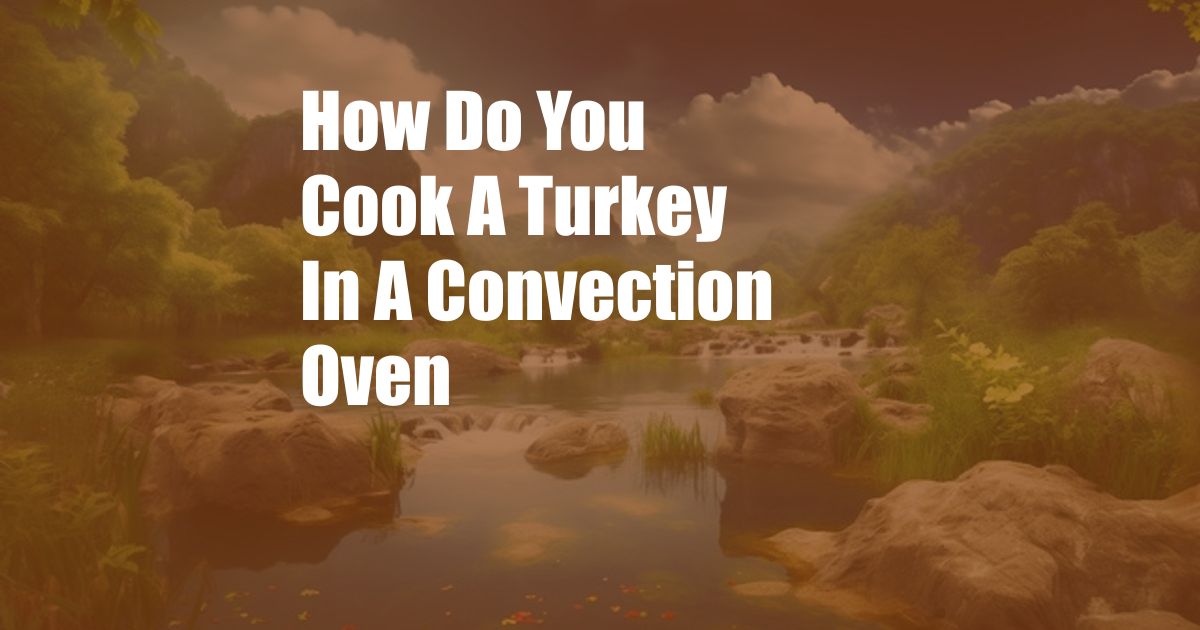 How Do You Cook A Turkey In A Convection Oven