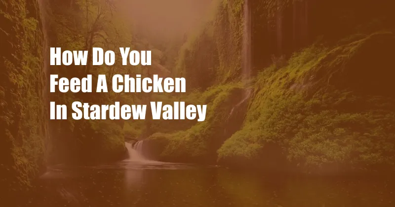 How Do You Feed A Chicken In Stardew Valley