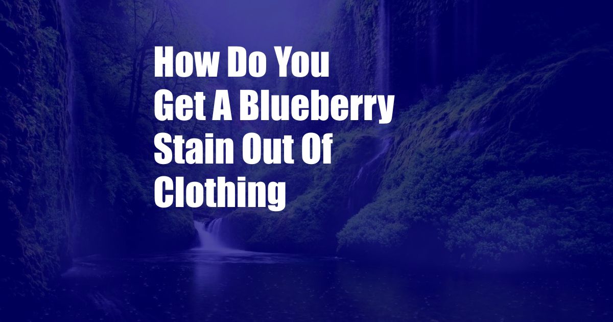 How Do You Get A Blueberry Stain Out Of Clothing