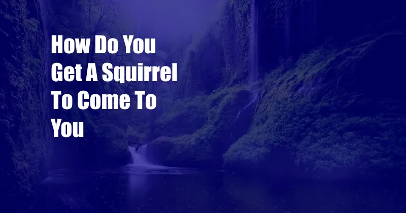 How Do You Get A Squirrel To Come To You