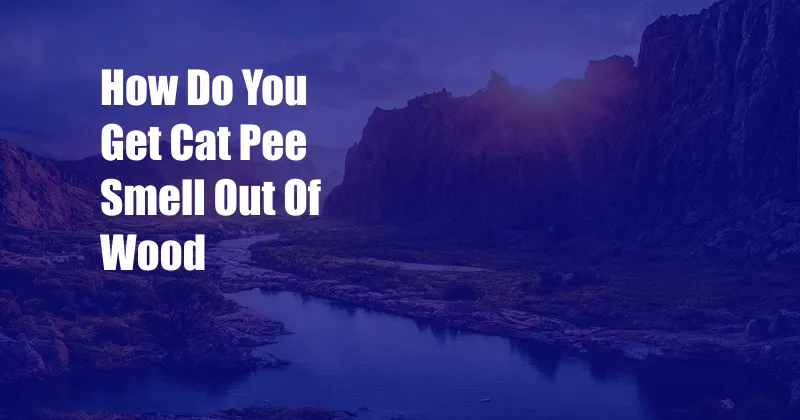 How Do You Get Cat Pee Smell Out Of Wood