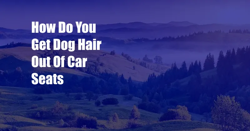 How Do You Get Dog Hair Out Of Car Seats