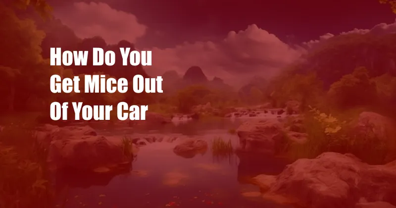 How Do You Get Mice Out Of Your Car