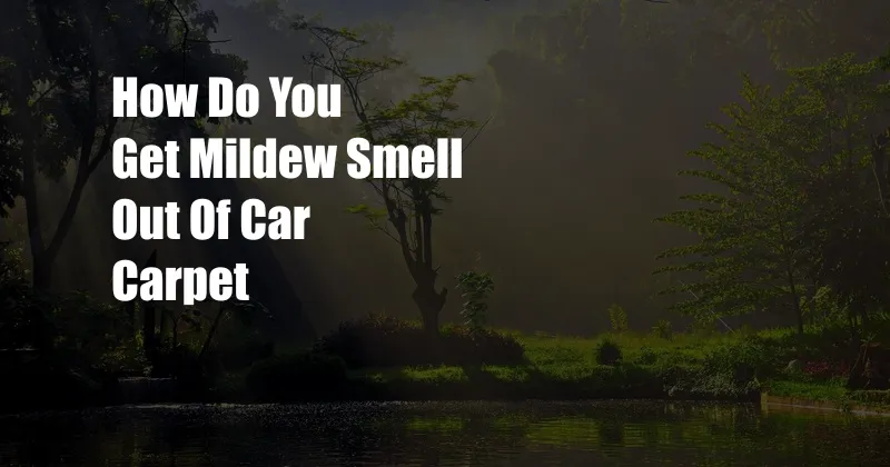 How Do You Get Mildew Smell Out Of Car Carpet