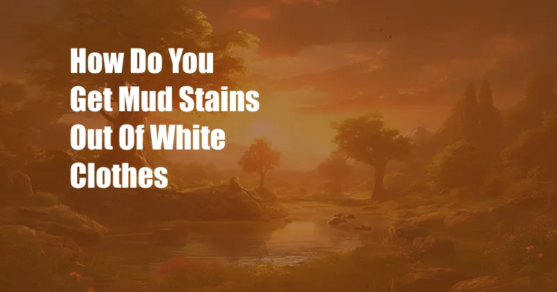 How Do You Get Mud Stains Out Of White Clothes