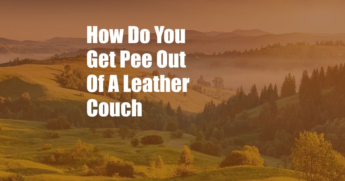 How Do You Get Pee Out Of A Leather Couch