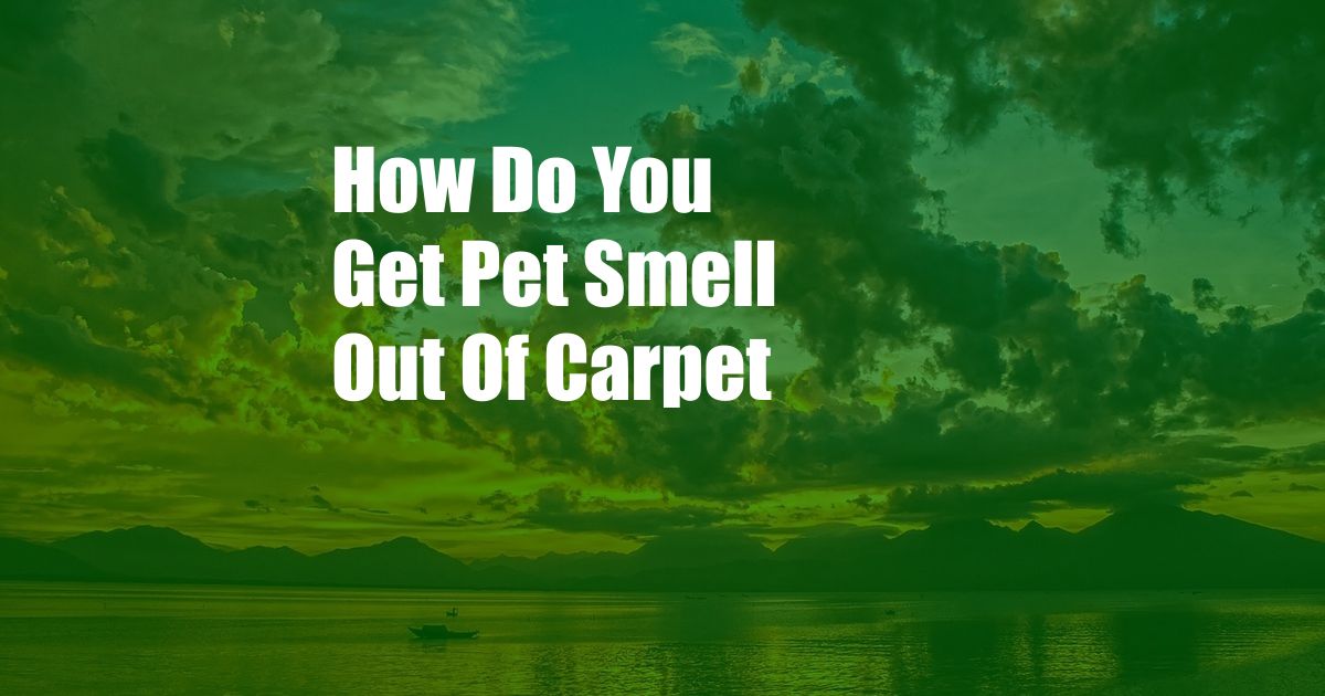 How Do You Get Pet Smell Out Of Carpet