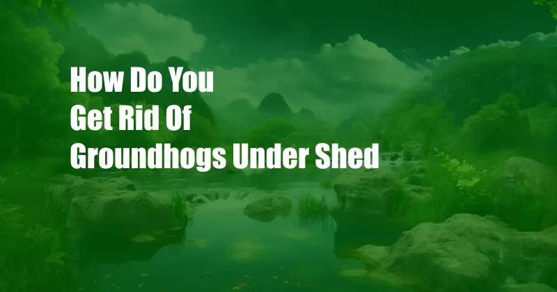 How Do You Get Rid Of Groundhogs Under Shed