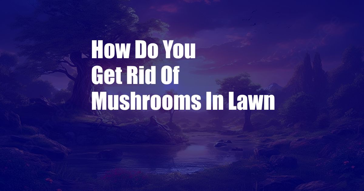 How Do You Get Rid Of Mushrooms In Lawn