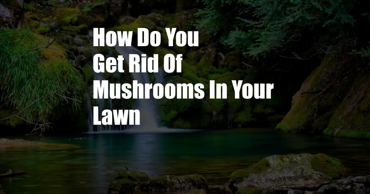 How Do You Get Rid Of Mushrooms In Your Lawn