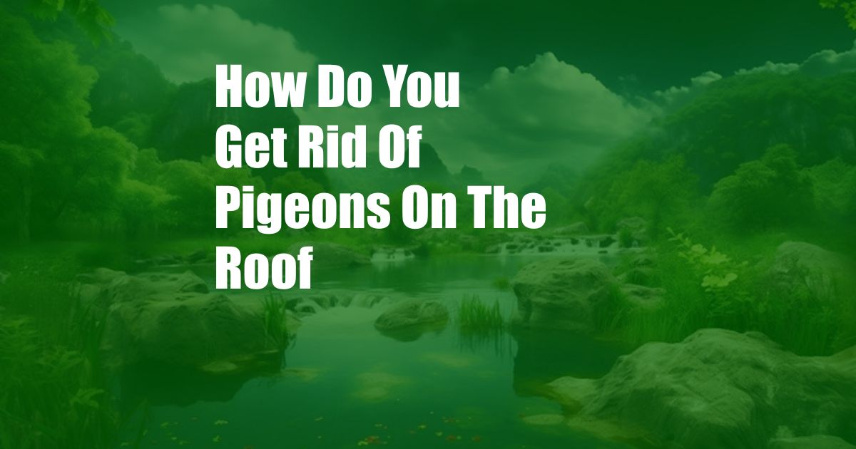 How Do You Get Rid Of Pigeons On The Roof