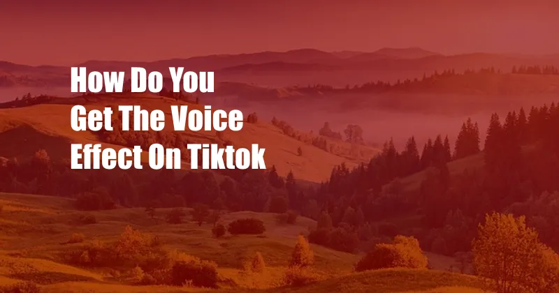 How Do You Get The Voice Effect On Tiktok