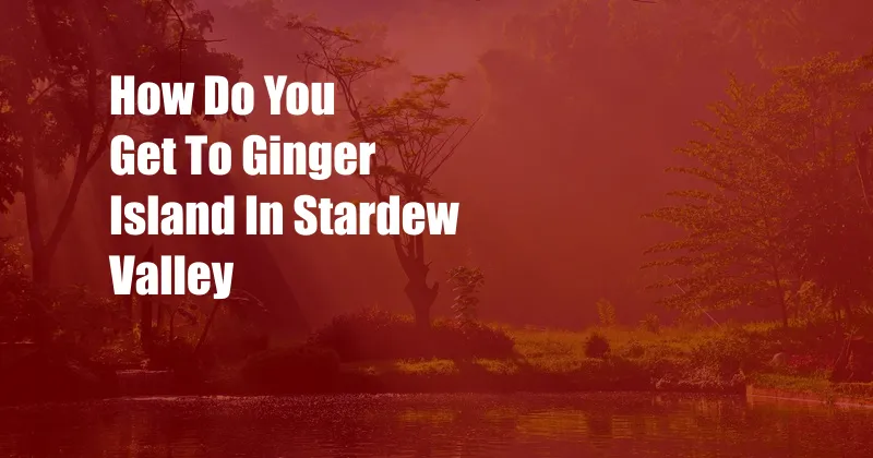 How Do You Get To Ginger Island In Stardew Valley